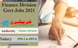 Finance Division Jobs