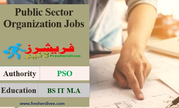 Public Sector Organization Jobs 2021