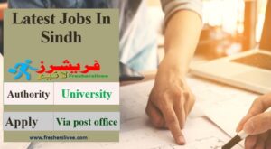 Latest Sindh Teaching Jobs 2022