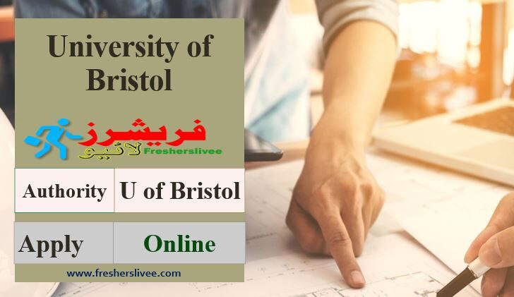 University of Bristol Scholarship 2022