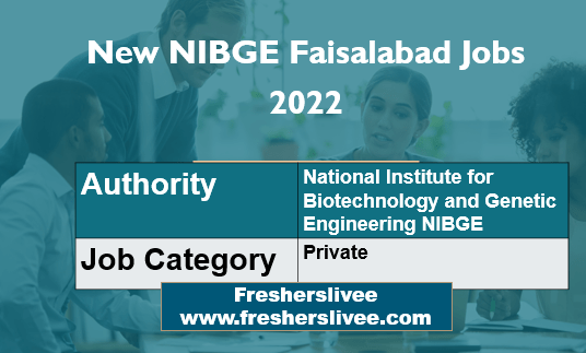 New NIBGE Faisalabad Jobs 2022