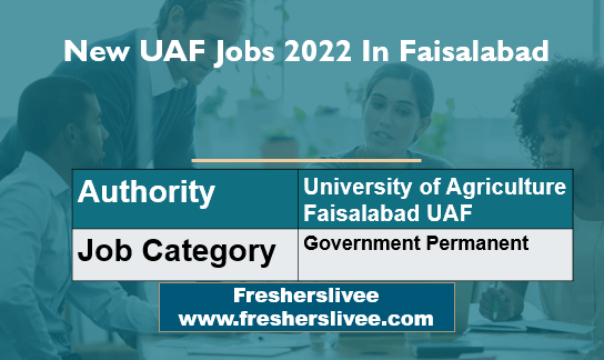 New UAF Jobs 2022 In Faisalabad
