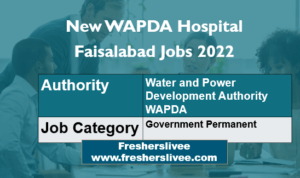 New WAPDA Hospital Faisalabad Jobs 2022