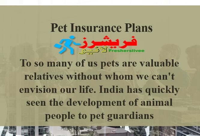 Pet Insurance Plans