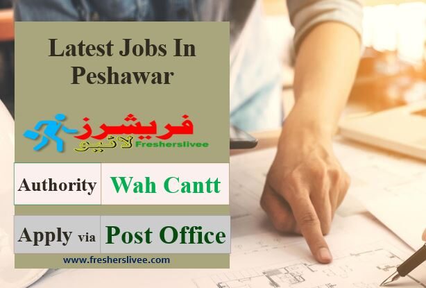 Latest Jobs In Peshawar 2023