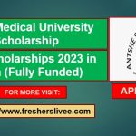 Anhui Medical University Scholarship