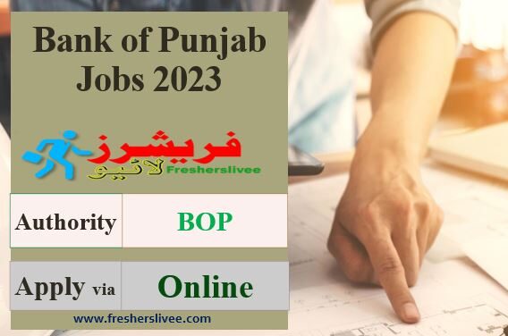 Latest Bank of Punjab Jobs 2023