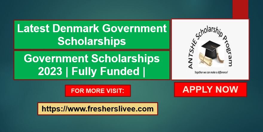 Denmark Government Scholarships