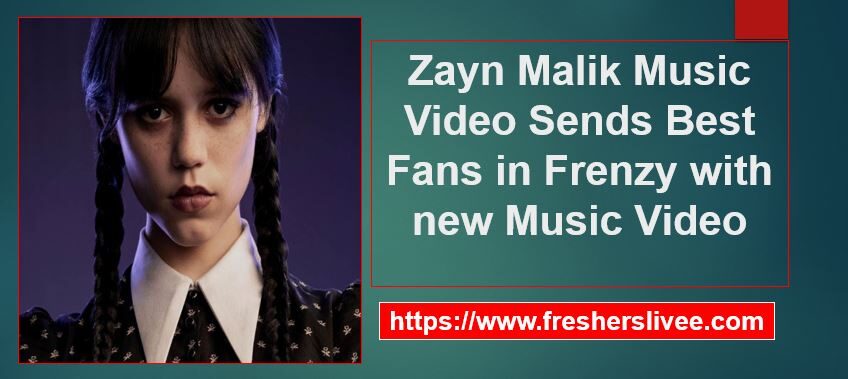 Zayn Malik Music Video- Zayn Malik Sends Best Fans In Frenzy With New ...